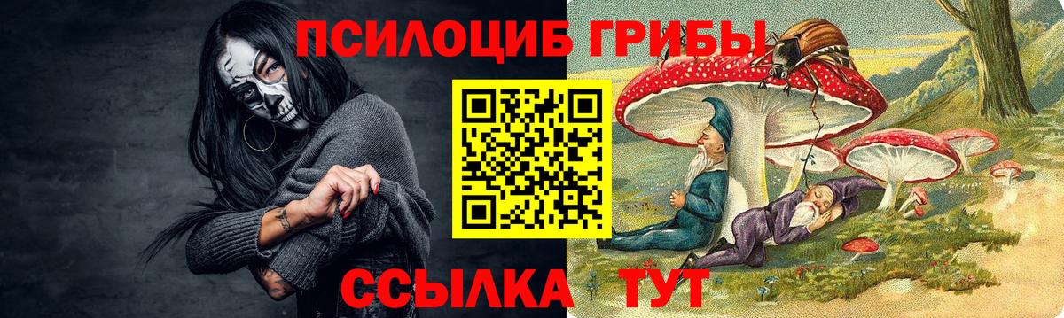 Знаменск  Галлюциногенные грибы Cubensis  Вход с VPN 